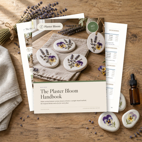 The Plaster Bloom Handbook, illustrated edition, cover and inside pages